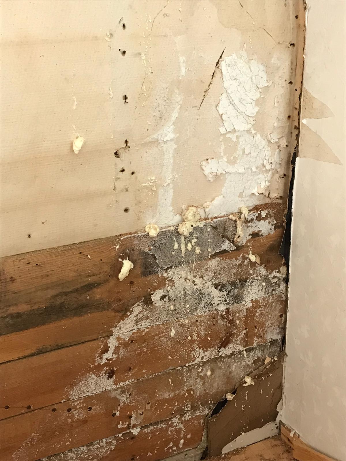 Sisäilmatutkimus vaatii joskus rakenteiden avaamista.